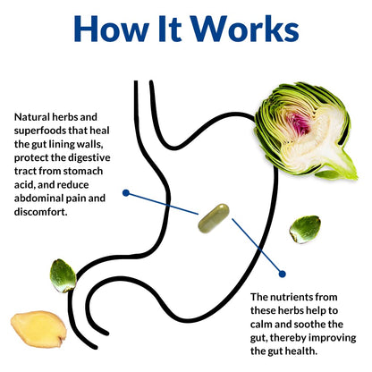 Gut Alive - All Natural Support to Fight IBS, Heartburn, Acid Indigestion, Acid Reflux, Bloating & Gas. Unique Formulation (60 Count)