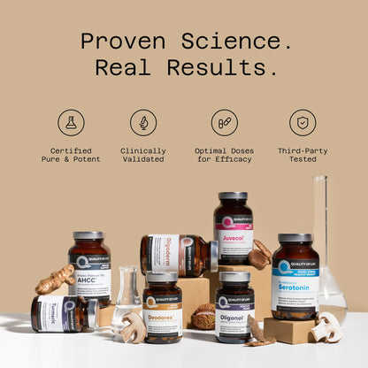 Quality of Life Premium Kinoko Gold AHCC Supplement, 500 mg per Capsule, Supports Immune Health, Liver Function, Maintains Natural Killer Cell Activity & Enhances Cytokine Production, 60 Veg Capsules