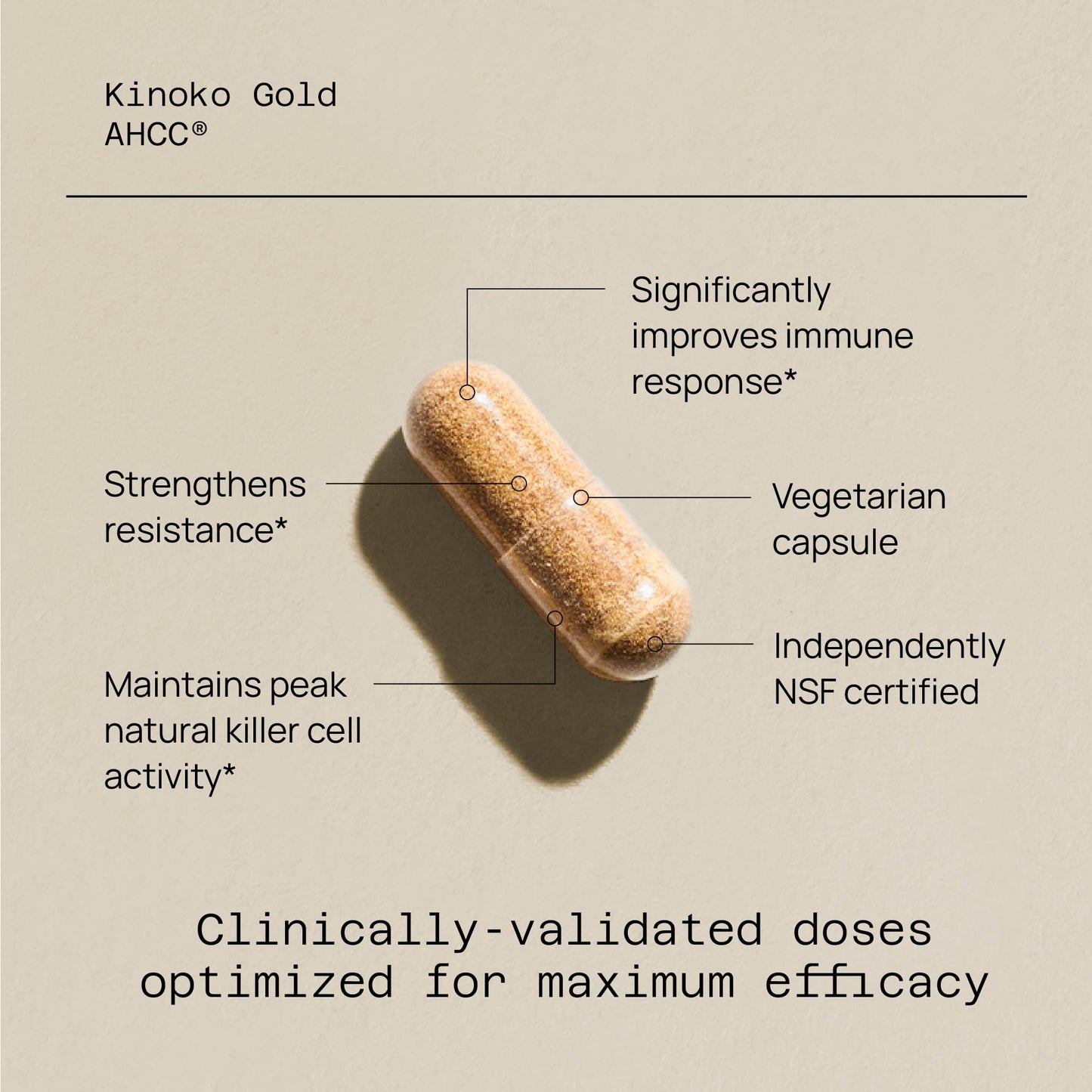 Quality of Life Premium Kinoko Gold AHCC Supplement, 500 mg per Capsule, Supports Immune Health, Liver Function, Maintains Natural Killer Cell Activity & Enhances Cytokine Production, 60 Veg Capsules