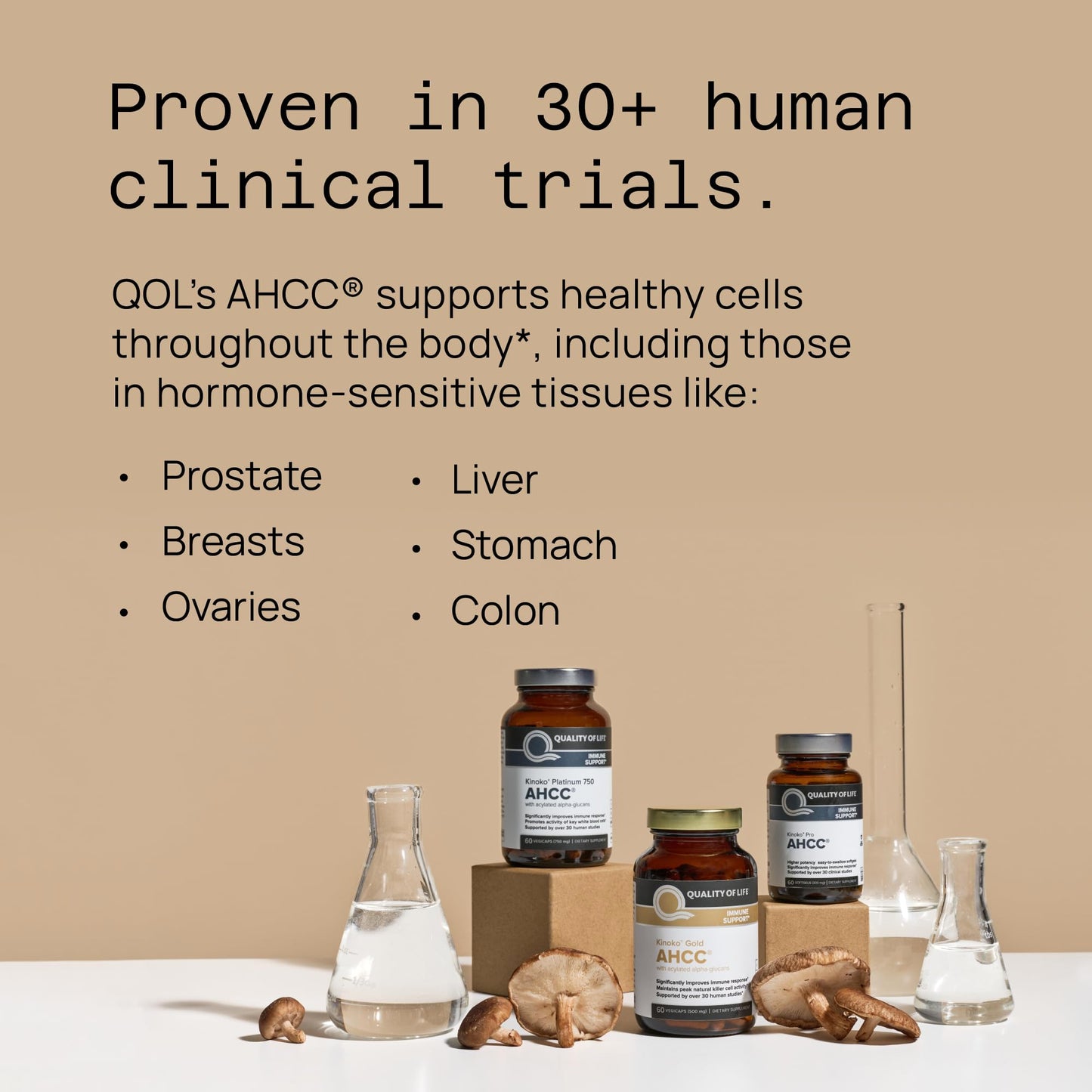 Quality of Life Premium Kinoko Gold AHCC Supplement, 500 mg per Capsule, Supports Immune Health, Liver Function, Maintains Natural Killer Cell Activity & Enhances Cytokine Production, 60 Veg Capsules